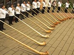 2e1ax_greenie_module_alphorn_1